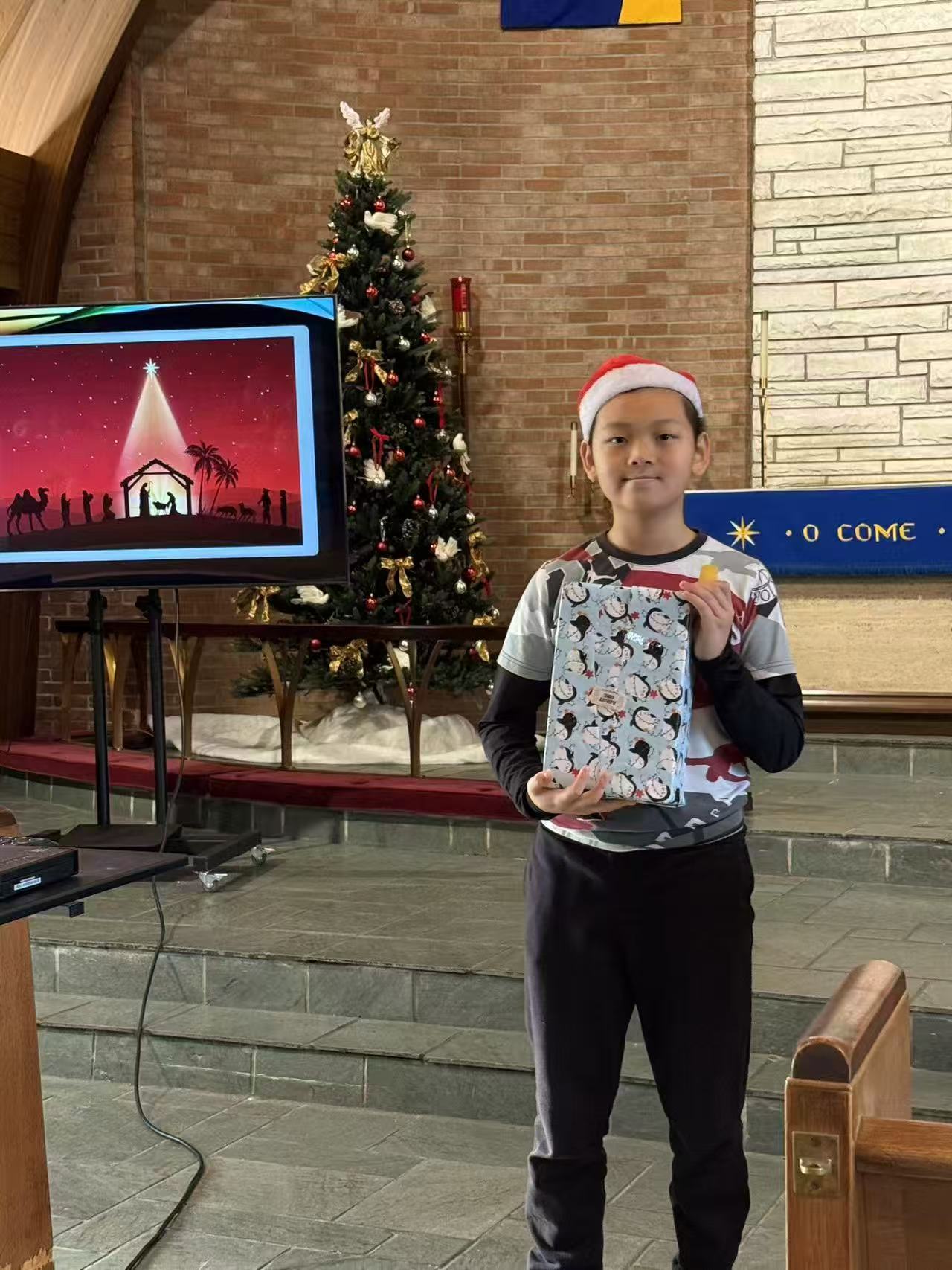 田野的鸟瞰图。一条道路穿过右上角。