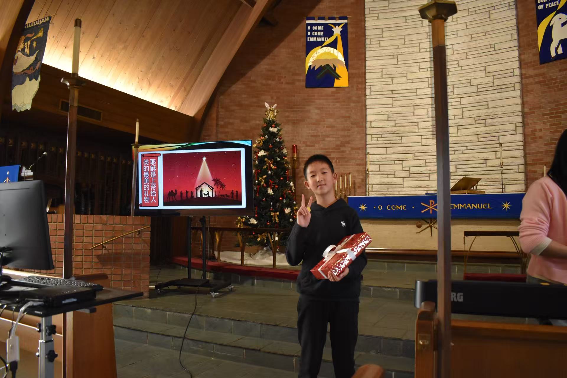 田野的鸟瞰图。一条道路穿过右上角。