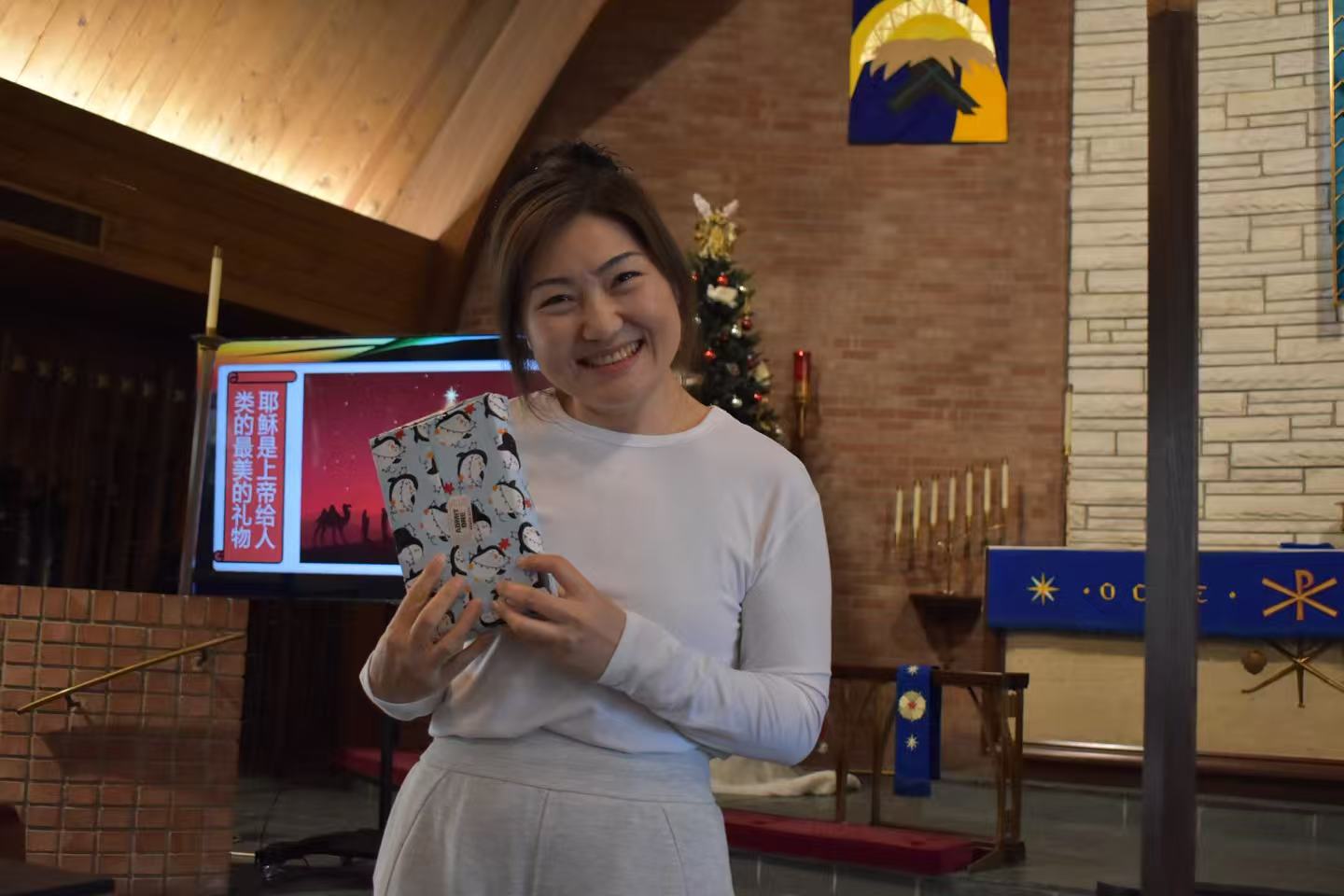 田野的鸟瞰图。一条道路穿过右上角。