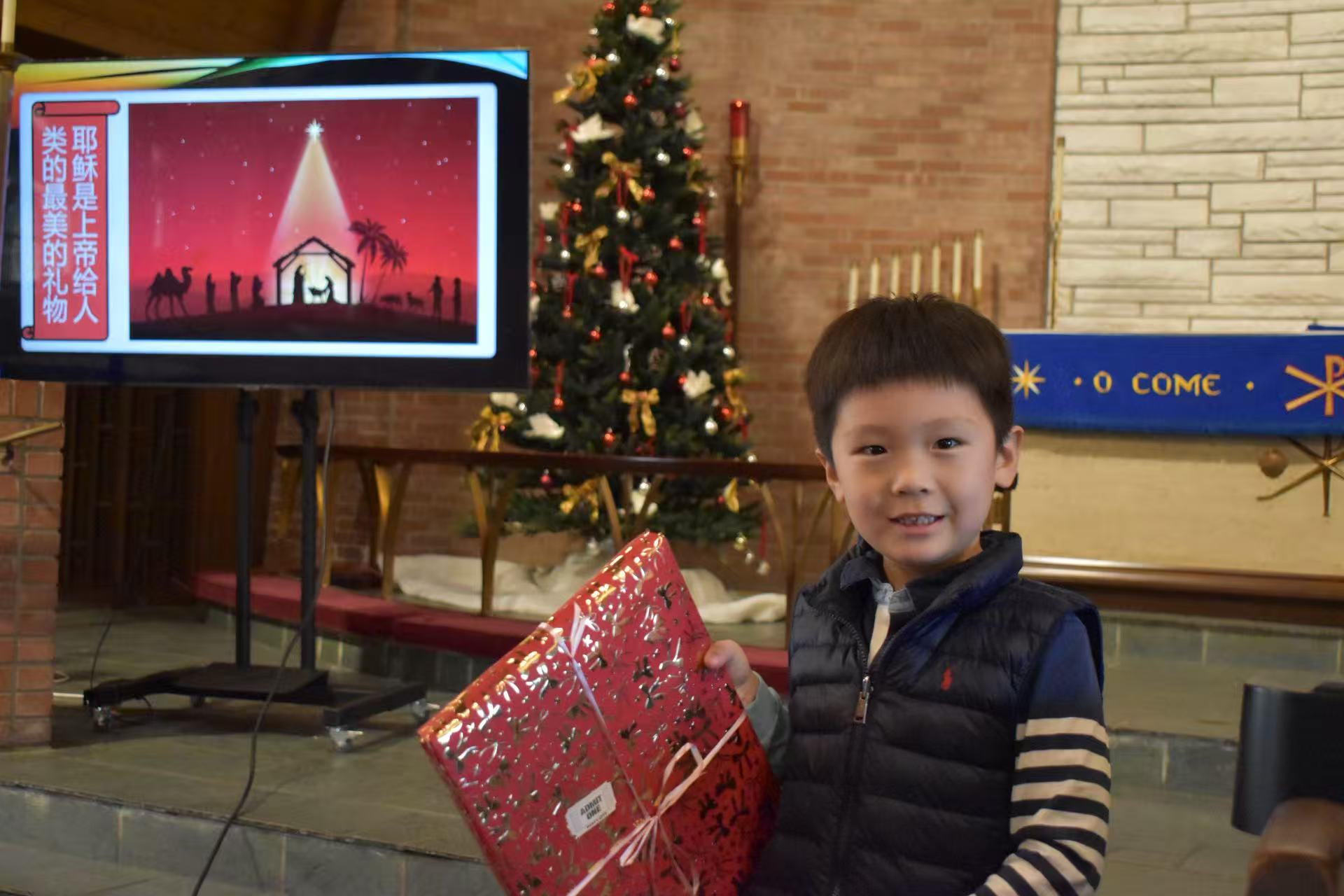 海浪撞击海岸的鸟瞰图。